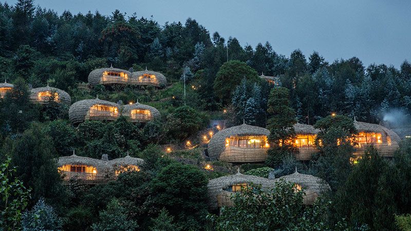 Best luxury safari hotels