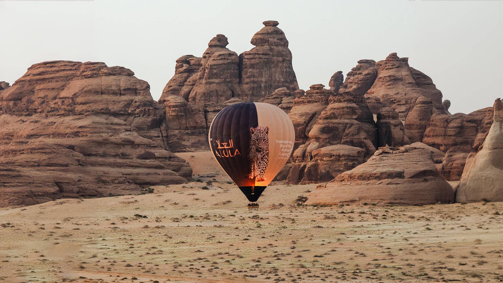 A hot air balloon in the AlUla desert featuring a leopard design